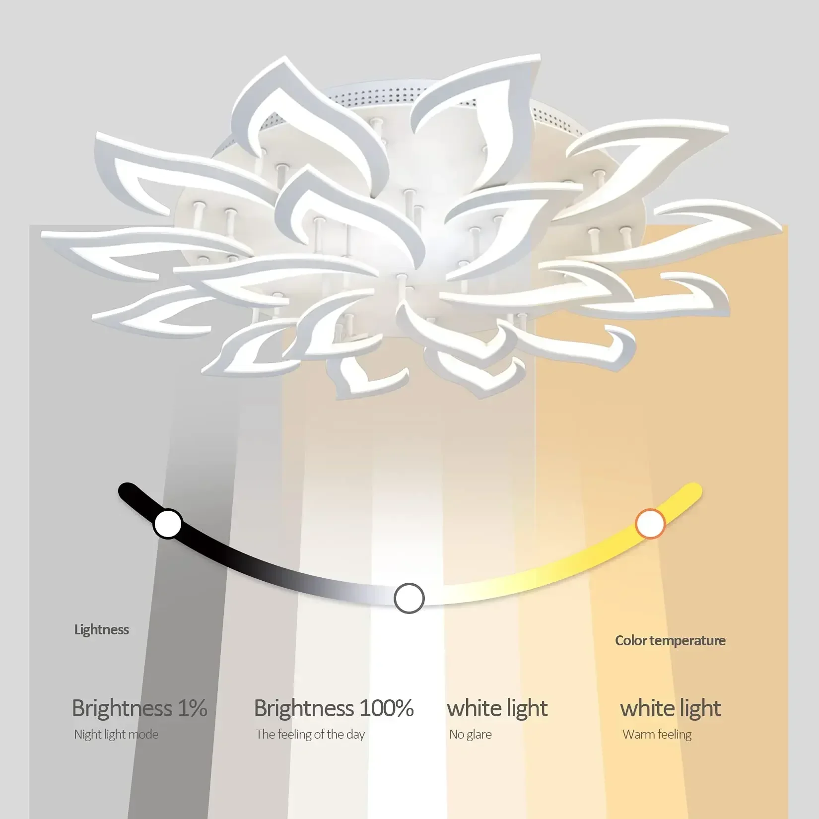 โคมระย้ากลีบดอก LED ของนักออกแ - Interior Design Remote บทวิจารณ์และราคา